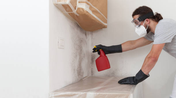 Professional Mold Remediation technician working in Central City, IL