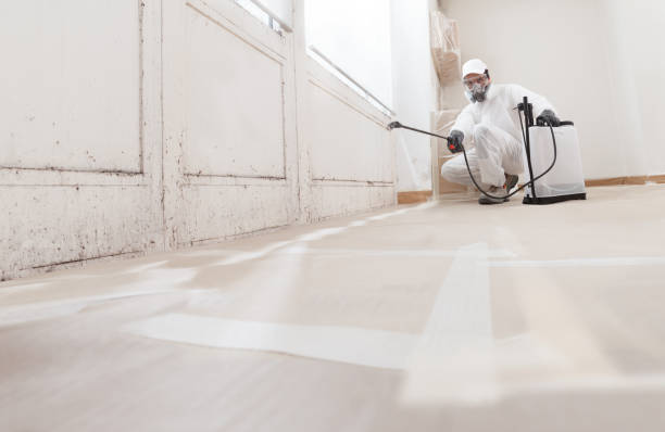 24/7 Emergency Mold Remediation experts in Central City, IL